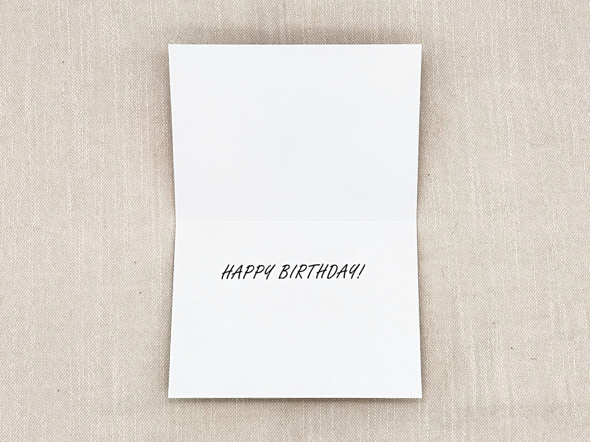 Horse birthday card by Miss Hairbrush – inside