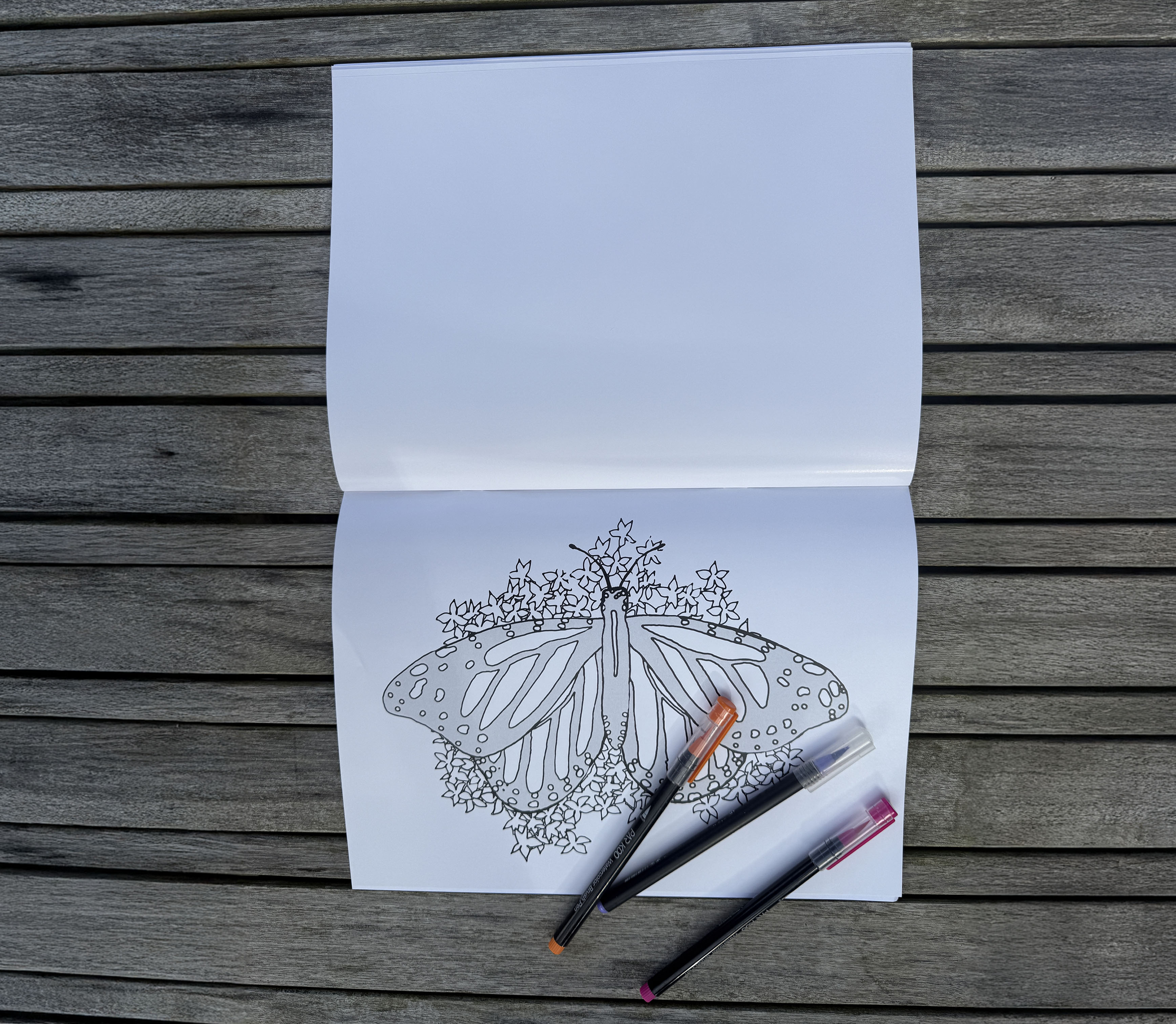 Coloring page from COLORSKILLS drawing book for kids featuring animals and princesses