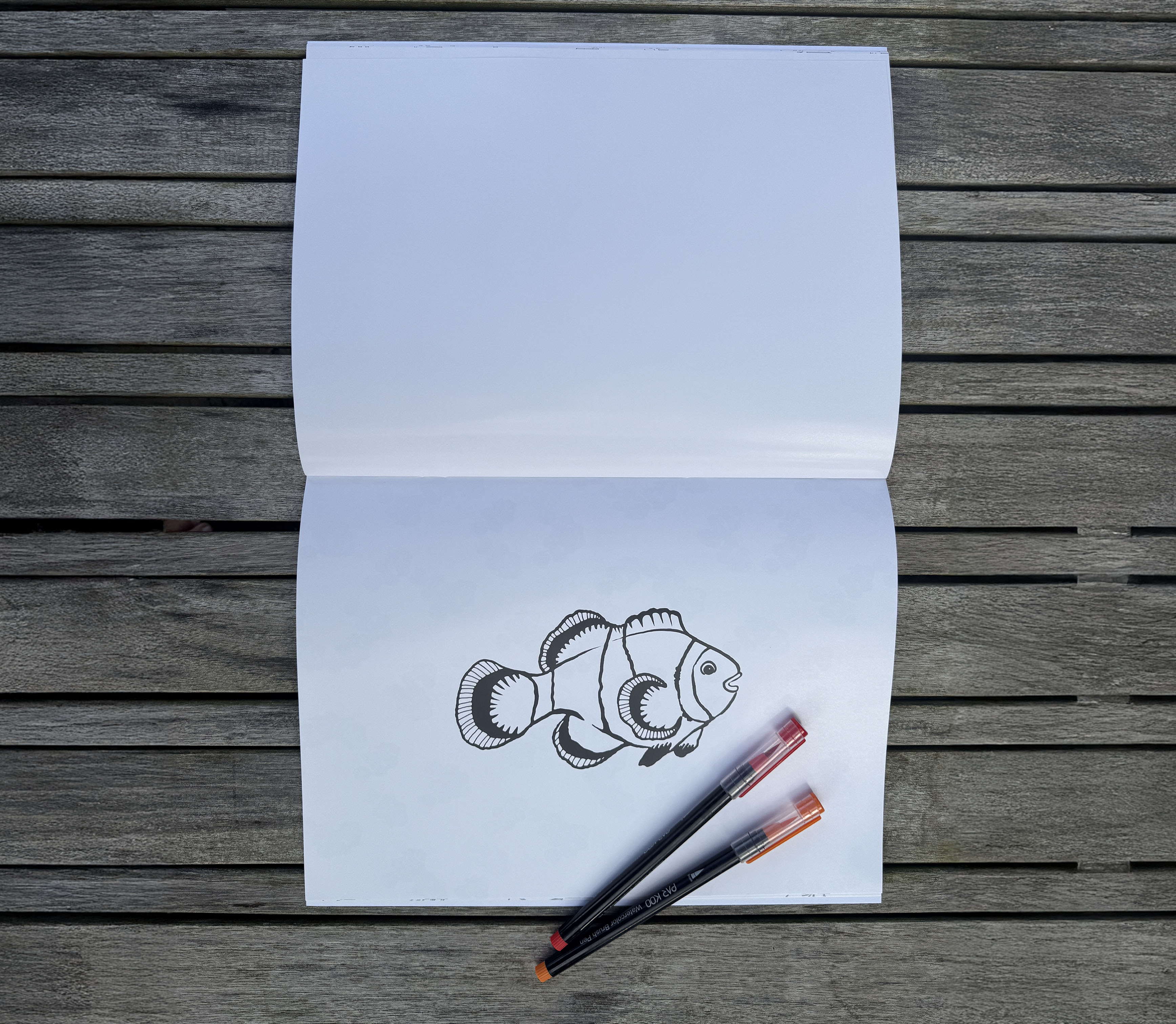 Coloring page featuring ocean animals from COLORSKILLS drawing book for kids