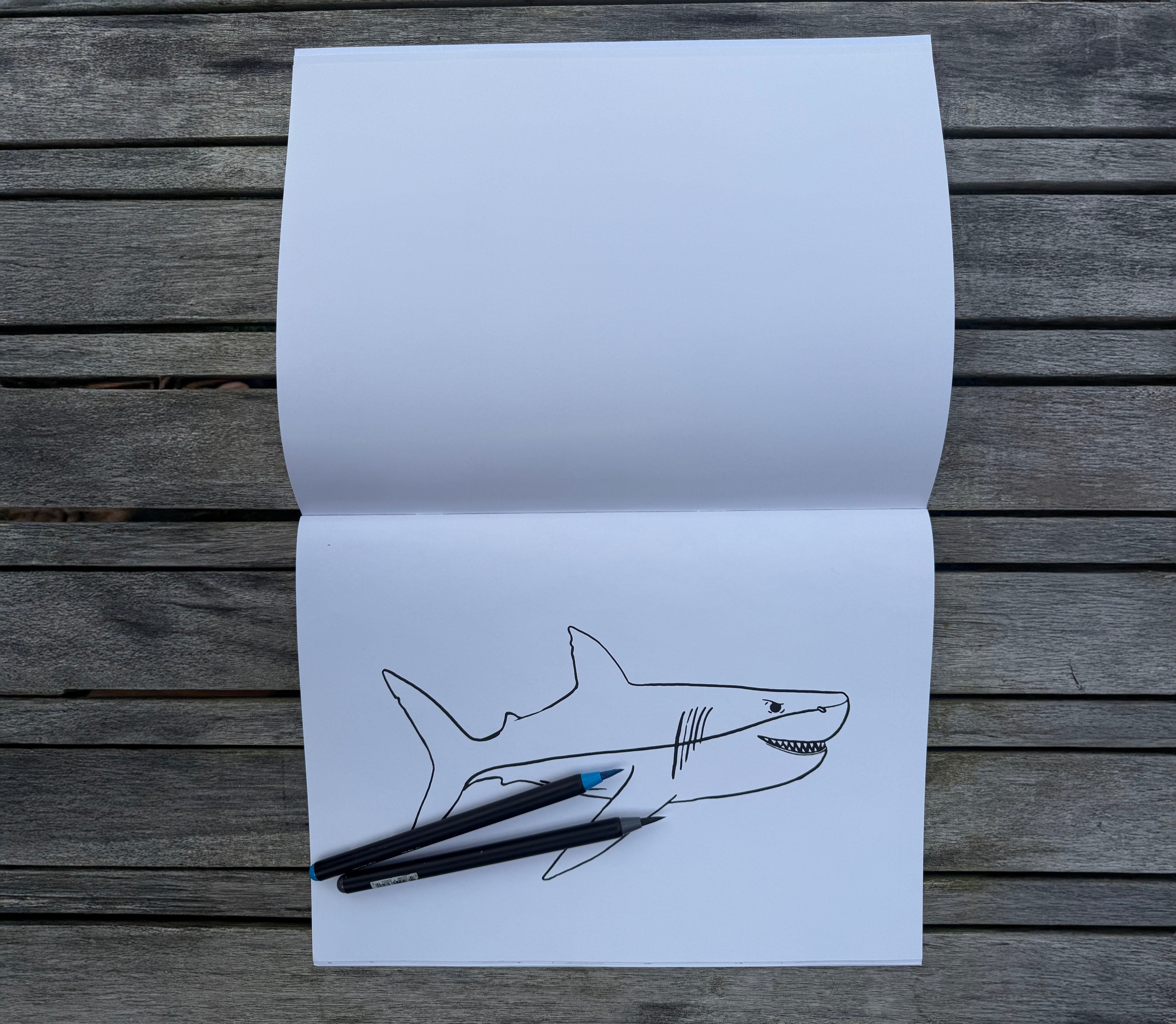 Coloring page from COLORSKILLS drawing book for kids featuring sharks, dragons, and animals