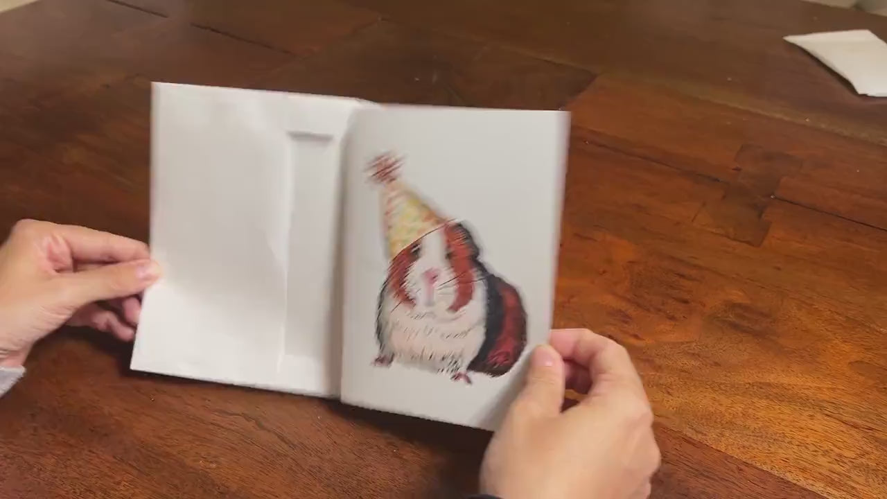 Guinea Pig - Card Pack - Birthday Card Pack for Him or Her or kids - Hand Drawn Watercolor Birthday Cards