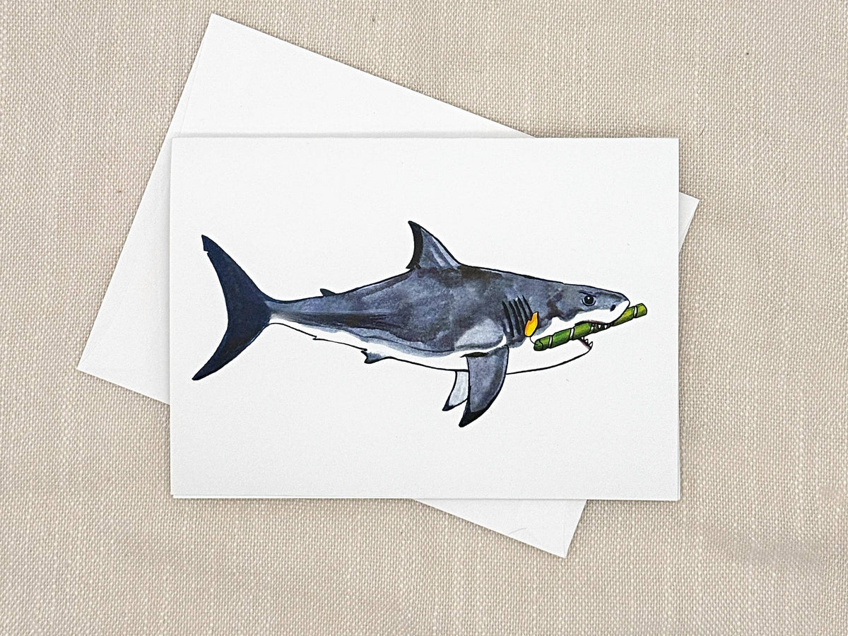 Shark birthday card by Miss Hairbrush – front