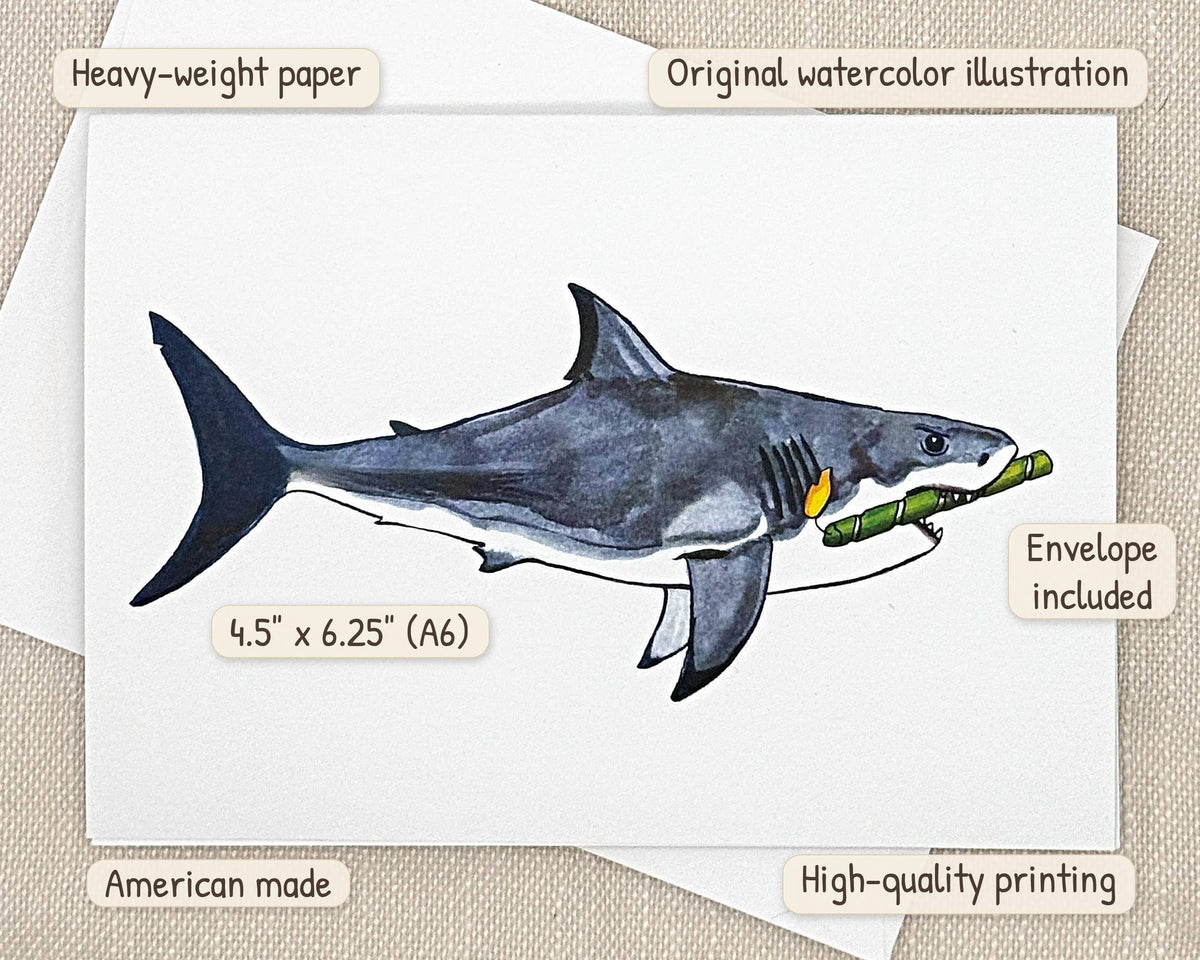 Shark birthday card by Miss Hairbrush – details