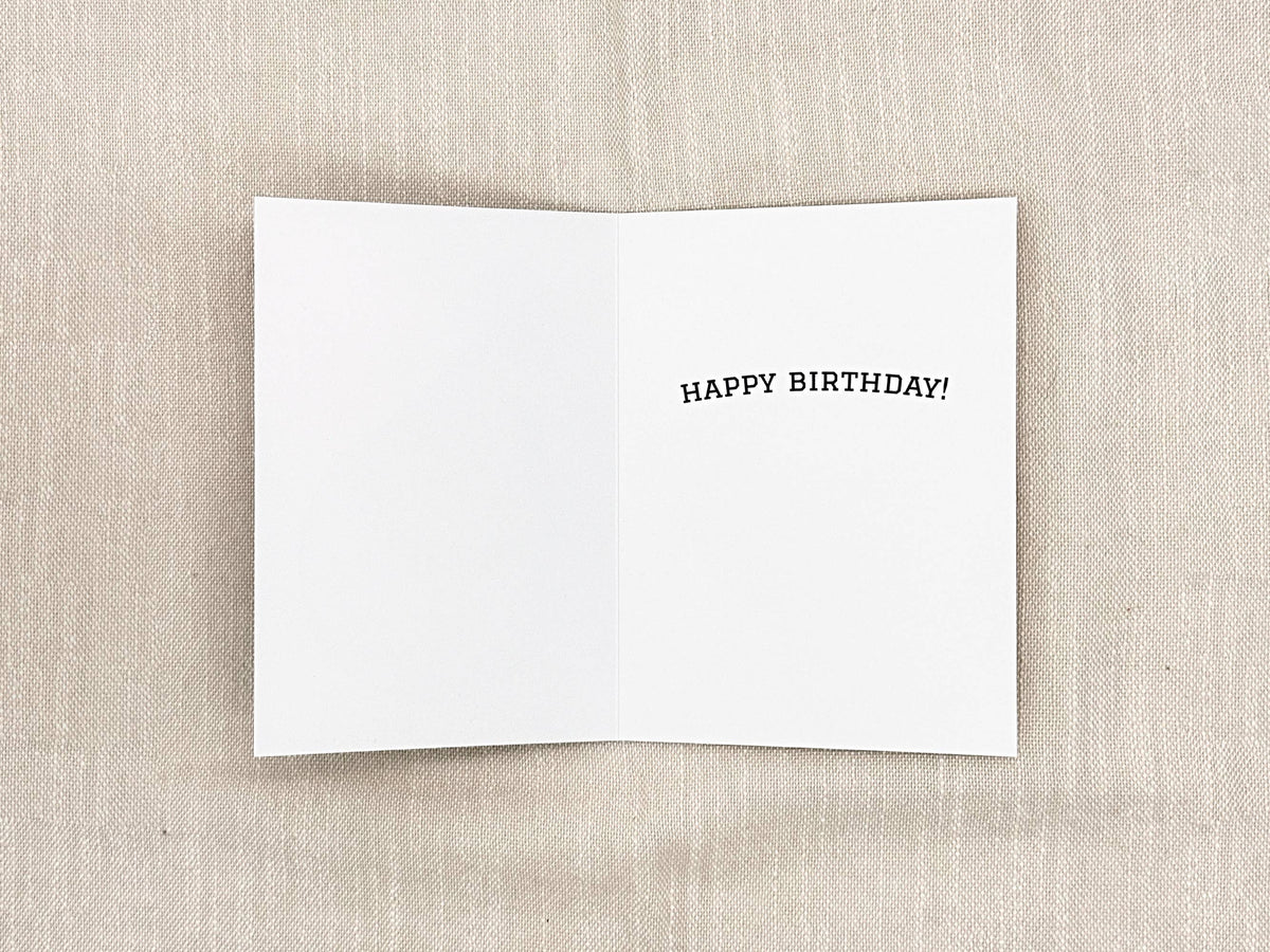 Baseball birthday card by Miss Hairbrush – inside