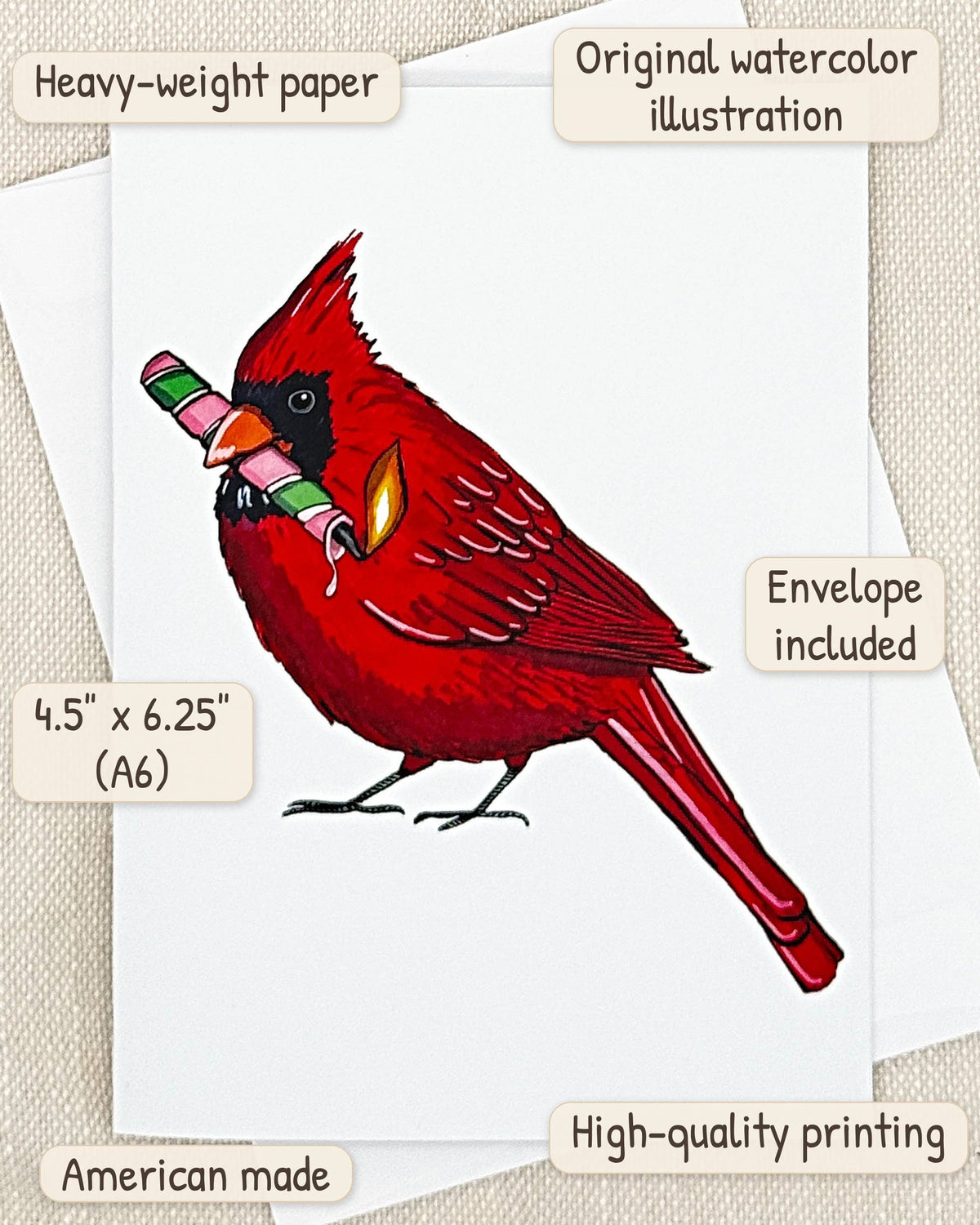 Red Cardinal birthday card by Miss Hairbrush – details