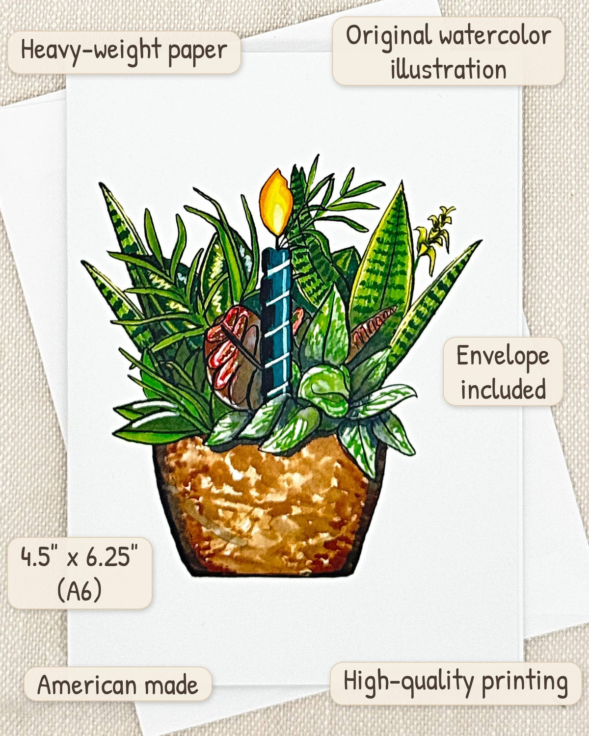 Houseplant birthday card by Miss Hairbrush – details