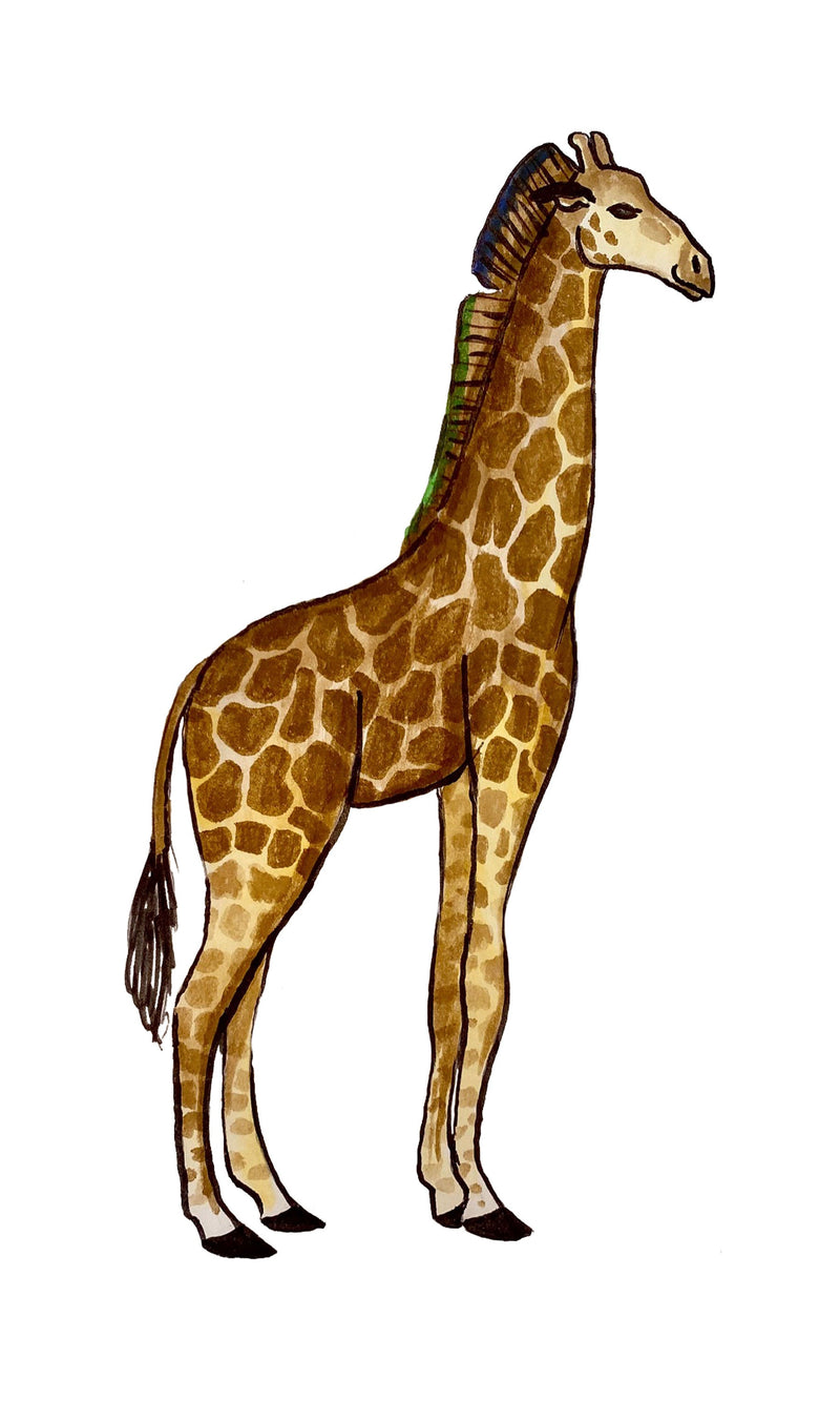 Giraffe Art Print | 9'' X 15'' illustrated watercolor print | Wall decor | Unframed or framed