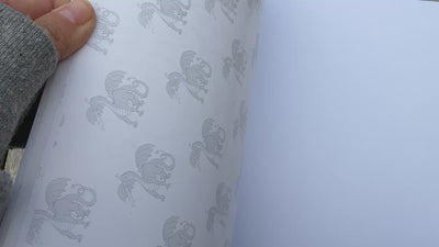 Video showing a flip-through of the sharks, dragons, and animals drawing book for kids