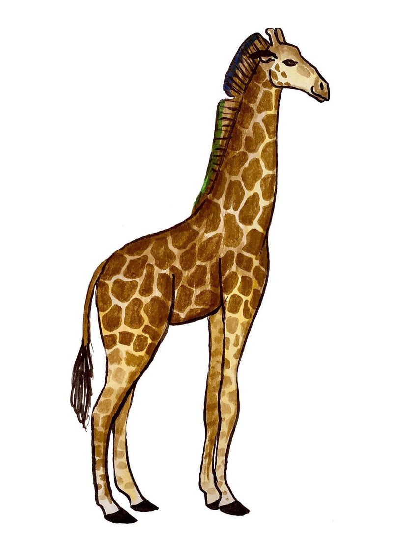 Giraffe note cards with white envelopes (set of 12)