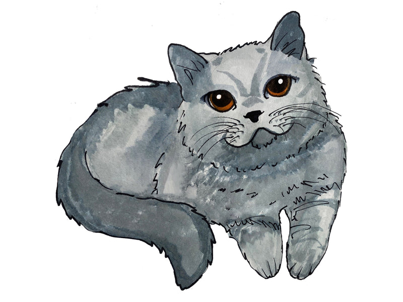 Cute Watercolor Cat Cards - Cute Cat Note Card, Cat Greeting Card, Gray Cat, Blue Russian, Note card pack - Blank Cat Card - With Envelopes