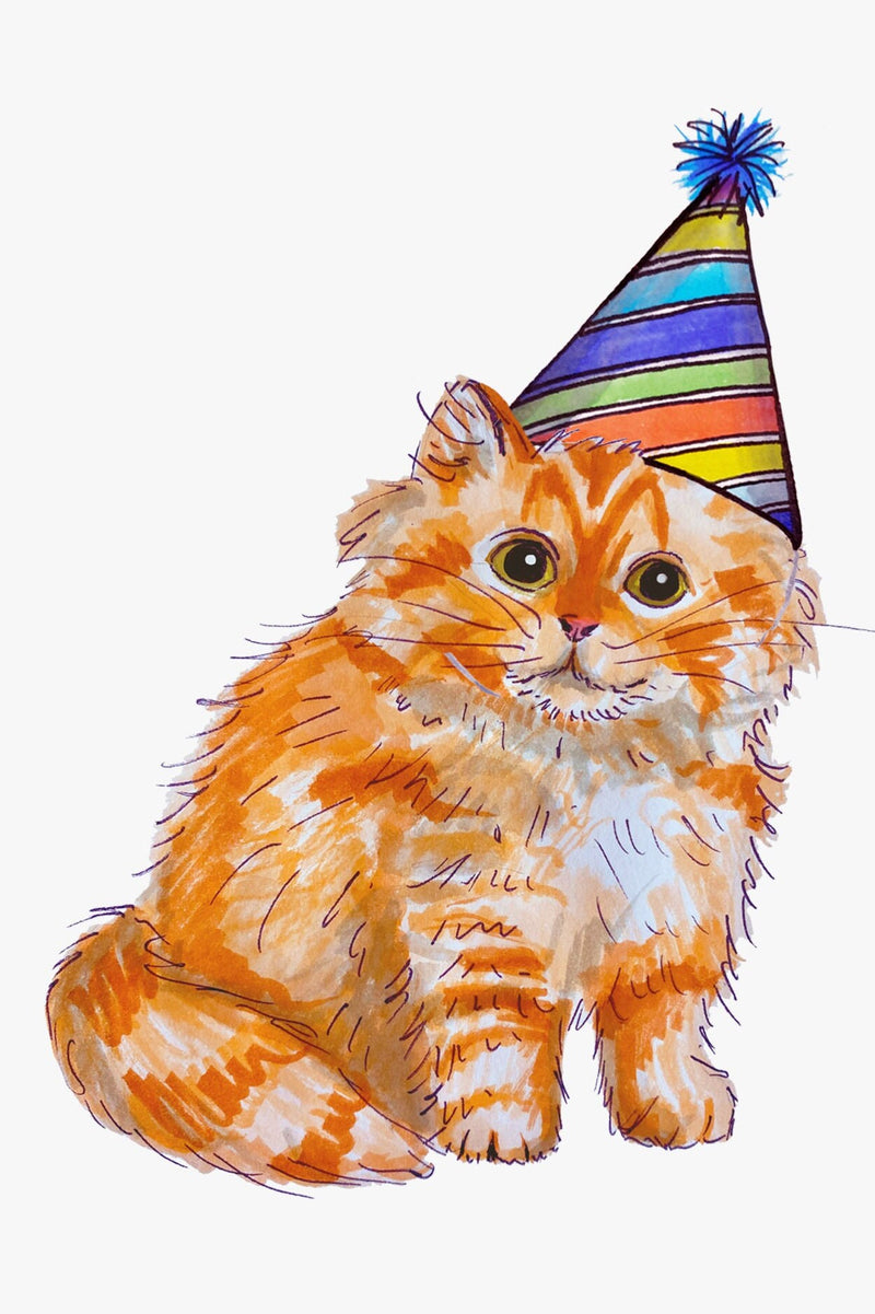 Orange Cat Birthday Card - Card Pack - Birthday Card Pack for Adults or Kids- Hand Drawn Watercolor Birthday Cards