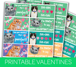 Printable Cat Valentines for Kids, PDF, for school